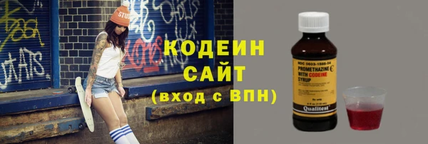 твердый Бородино