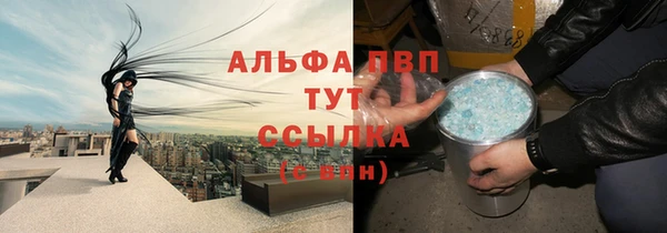 твердый Бородино