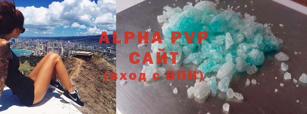твердый Бородино